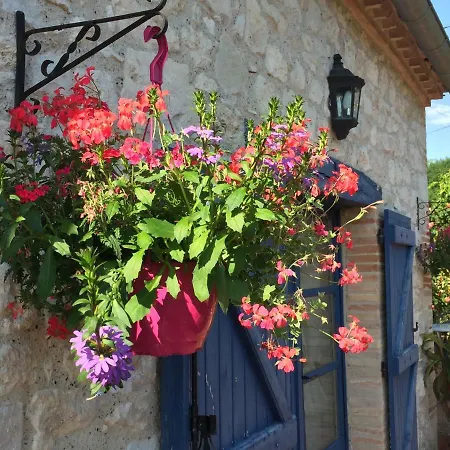 Villa Traditional Quercy Stone Farmhouse With Natural Bio Swimming Pool