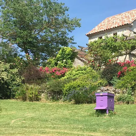 Traditional Quercy Stone Farmhouse With Natural Bio Swimming Pool * Saint-Amans-de-Pellagal