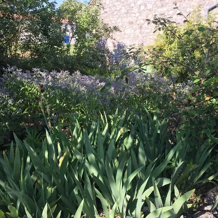 Traditional Quercy Stone Farmhouse With Natural Bio Swimming Pool Saint-Amans-de-Pellagal