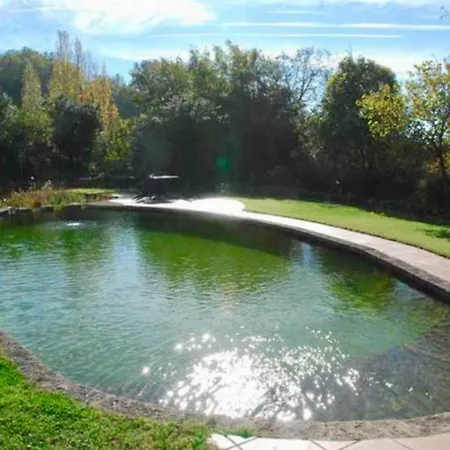 Traditional Quercy Stone Farmhouse With Natural Bio Swimming Pool
