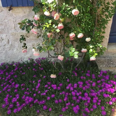 Villa Traditional Quercy Stone Farmhouse With Natural Bio Swimming Pool *