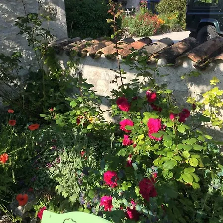 Traditional Quercy Stone Farmhouse With Natural Bio Swimming Pool Villa Saint-Amans-de-Pellagal