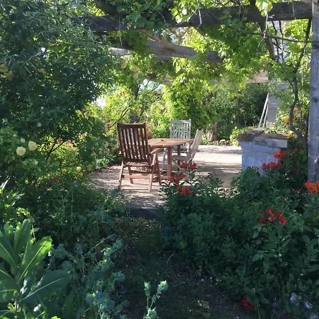 Traditional Quercy Stone Farmhouse With Natural Bio Swimming Pool Saint-Amans-de-Pellagal