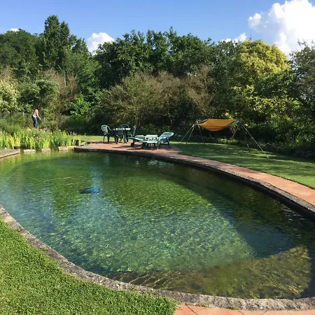Traditional Quercy Stone Farmhouse With Natural Bio Swimming Pool Saint-Amans-de-Pellagal
