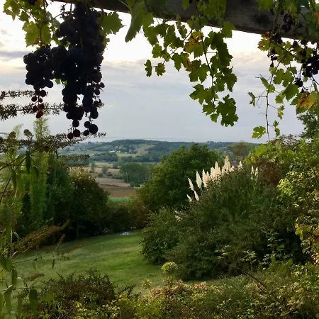 Traditional Quercy Stone Farmhouse With Natural Bio Swimming Pool Villa Saint-Amans-de-Pellagal