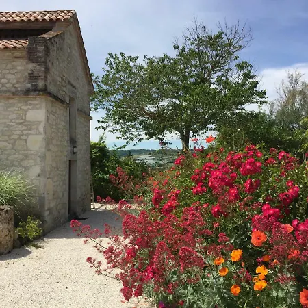 Traditional Quercy Stone Farmhouse With Natural Bio Swimming Pool Villa *